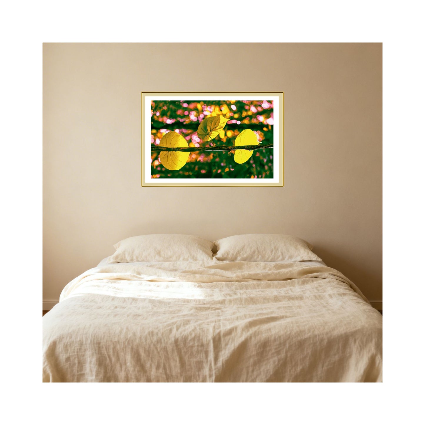 Daintree Vine - Abstract Botanical Fine Art Print