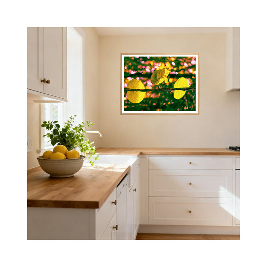 Daintree Vine - Abstract Botanical Fine Art Print