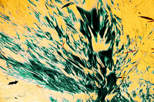 Elim Sand — abstract fine art photograph of golden sand and dark teal seaweed patterns, archival coastal print