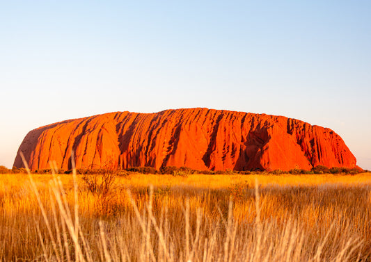 Uluṟu — fine art photograph of Uluṟu glowing in deep burnt orange and red at golden hour against golden spinifex grass and a soft pale blue sky, archival Australian landscape print