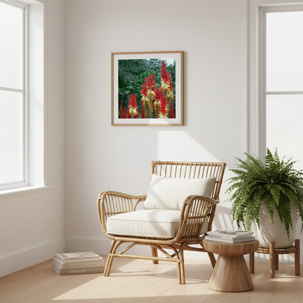 Torch Garden botanical fine art print in a bright reading nook with rattan chair and indoor plants — unframed wall art