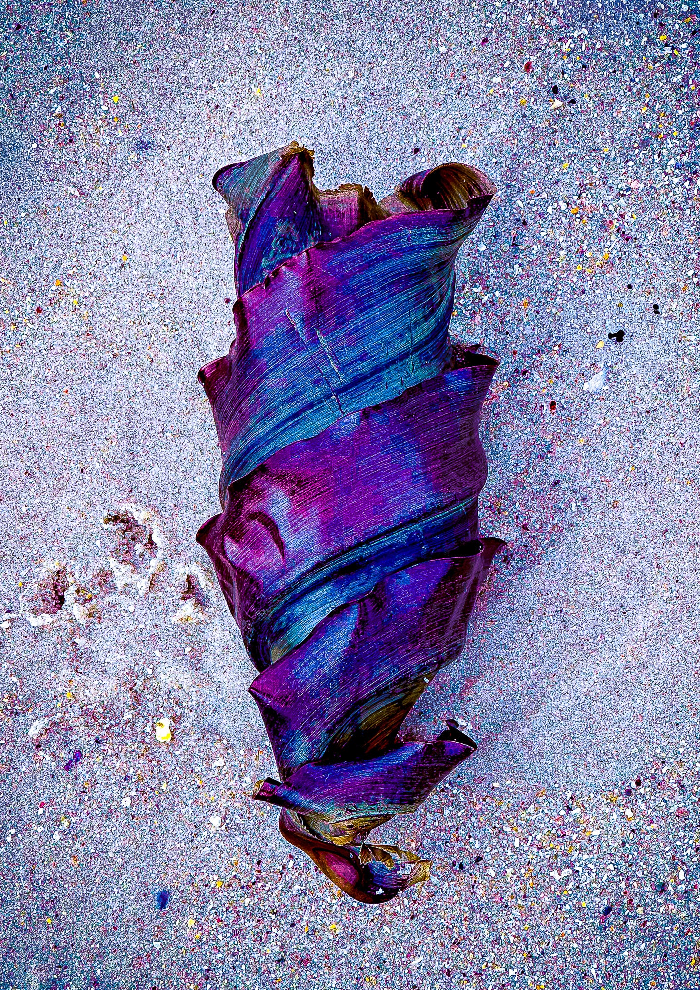 Baby Shark Egg - Fine Art Print