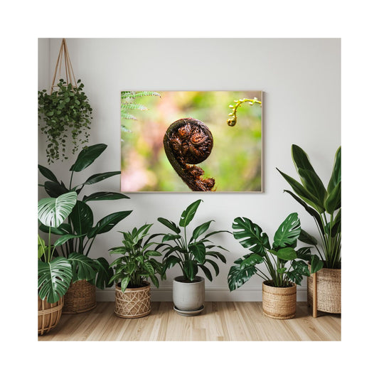 Begin — Botanical Fine Art Print