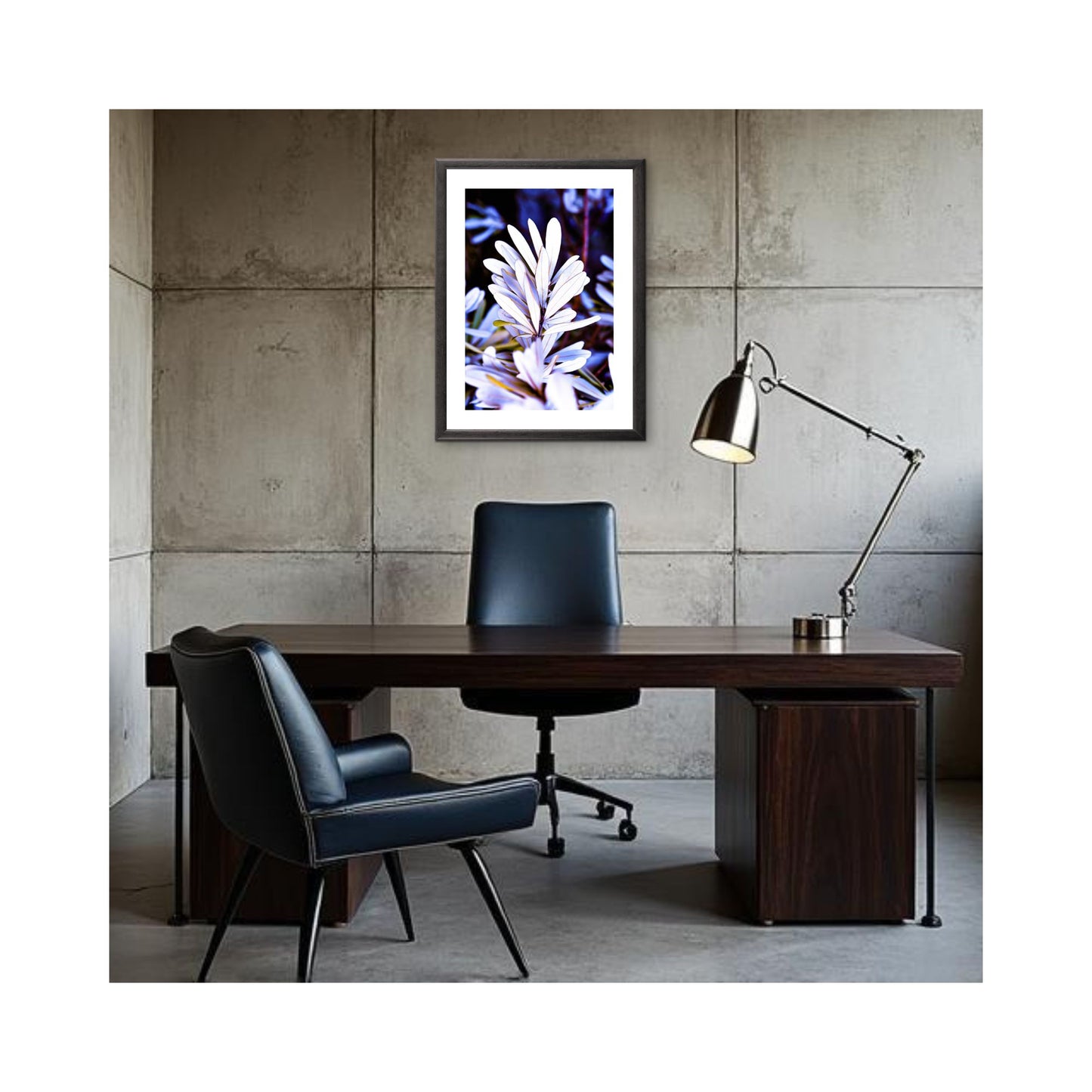 Husky Banksia — Coastal Botanical Fine Art Print