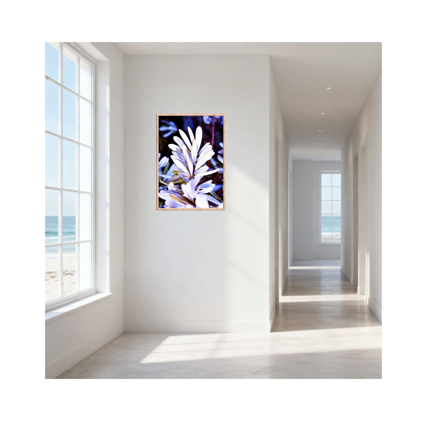 Husky Banksia — Coastal Botanical Fine Art Print