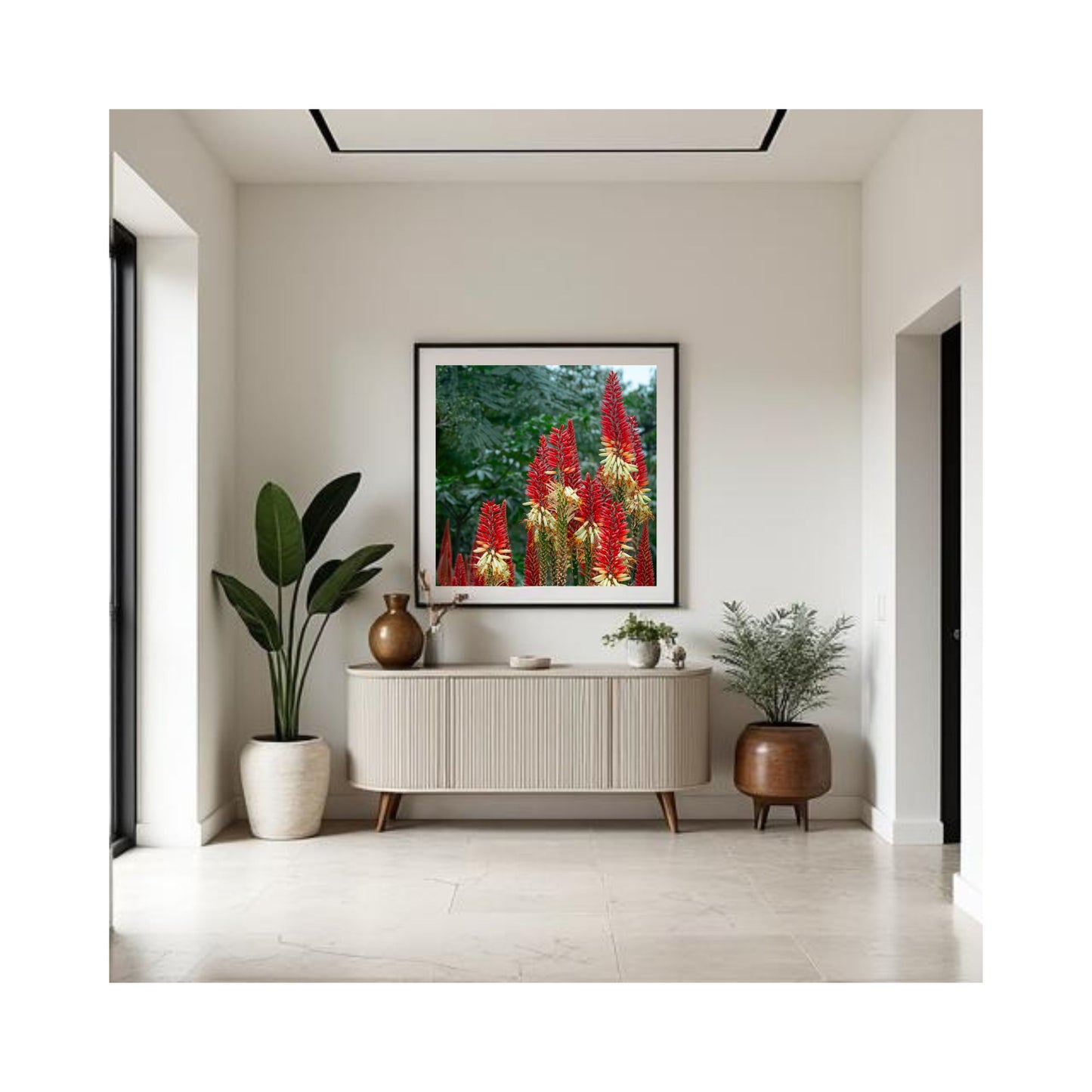 Torch Garden — Kniphofia Botanical Fine Art Print
