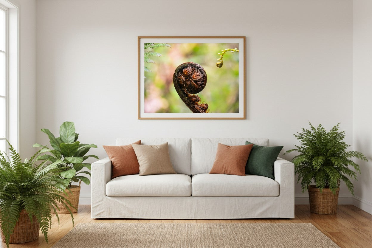 Begin botanical fine art print in a thin timber frame above a white linen sofa in a bright nature-inspired Australian living room with indoor ferns — unframed wall art
