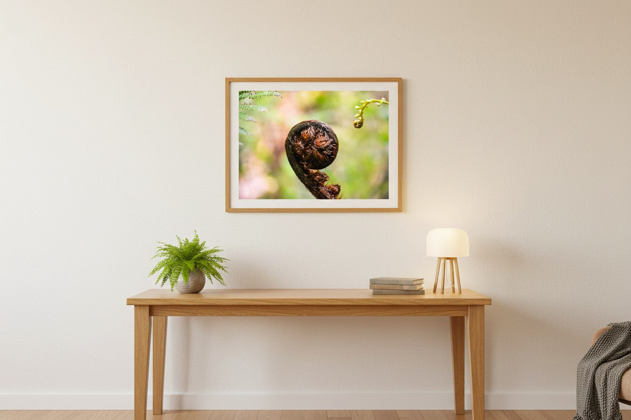 Begin botanical fine art print in a thin timber frame in a minimalist home office with timber desk and potted fern — unframed New Zealand koru wall art