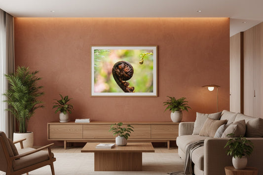 Begin botanical fine art print in a thin timber frame on a warm terracotta feature wall in a sophisticated contemporary living room — unframed fern koru wall art