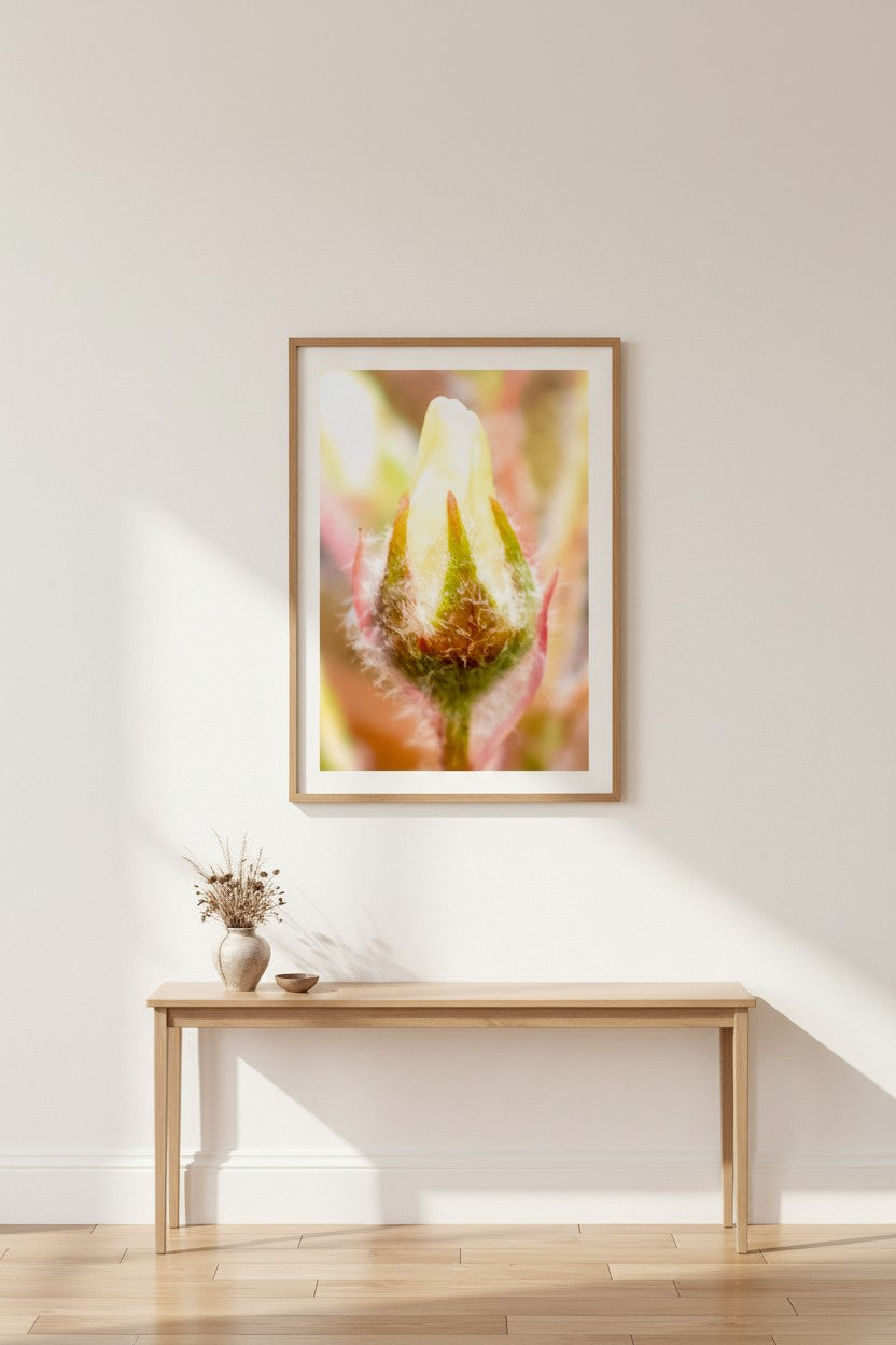 Butter Bud botanical fine art print in a thin timber frame in a bright minimalist hallway above a slim timber console with dried flowers — unframed botanical portrait wall art