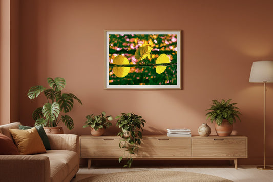 Daintree Vine abstract botanical fine art print in a thin timber frame on a terracotta feature wall in a sophisticated contemporary living room — unframed botanical wall art
