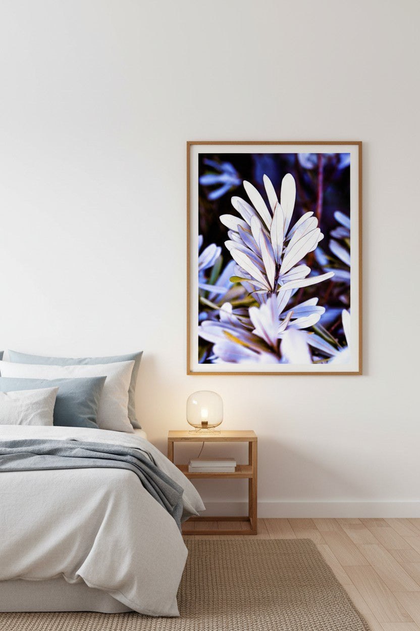 Husky Banksia coastal botanical fine art print in a thin timber frame beside a bed as a tall statement piece in a calm coastal bedroom — unframed wall art