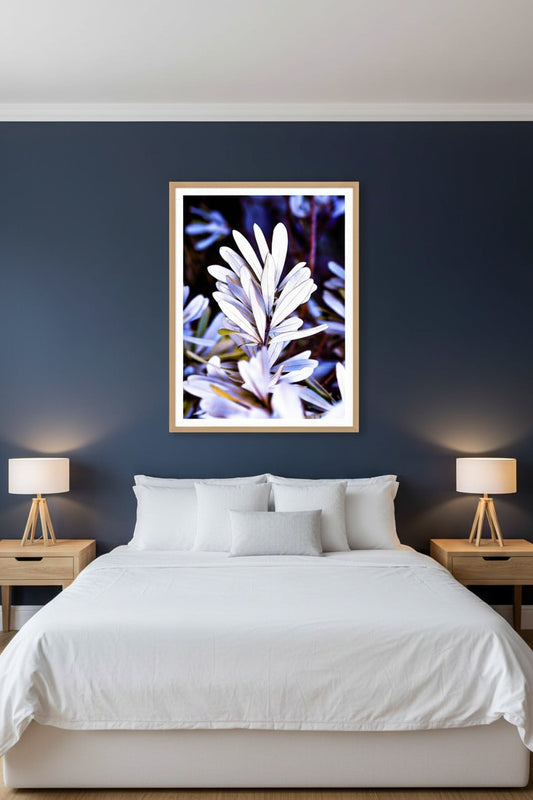 Husky Banksia coastal botanical fine art print in a thin timber frame on a deep navy feature wall in a sophisticated contemporary bedroom — unframed Australian botanical wall art
