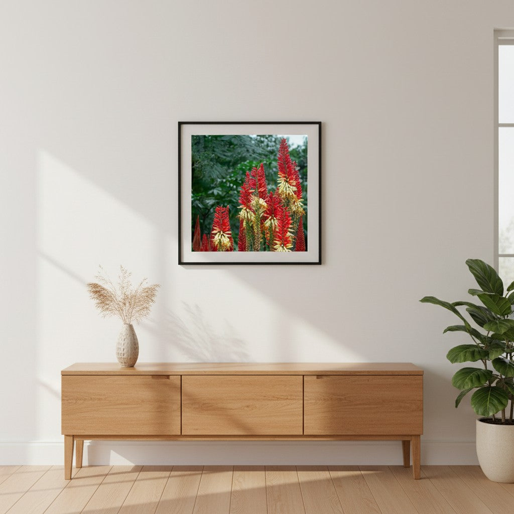 Torch Garden botanical fine art print above a timber sideboard with dried stems — unframed wall art for Australian homes