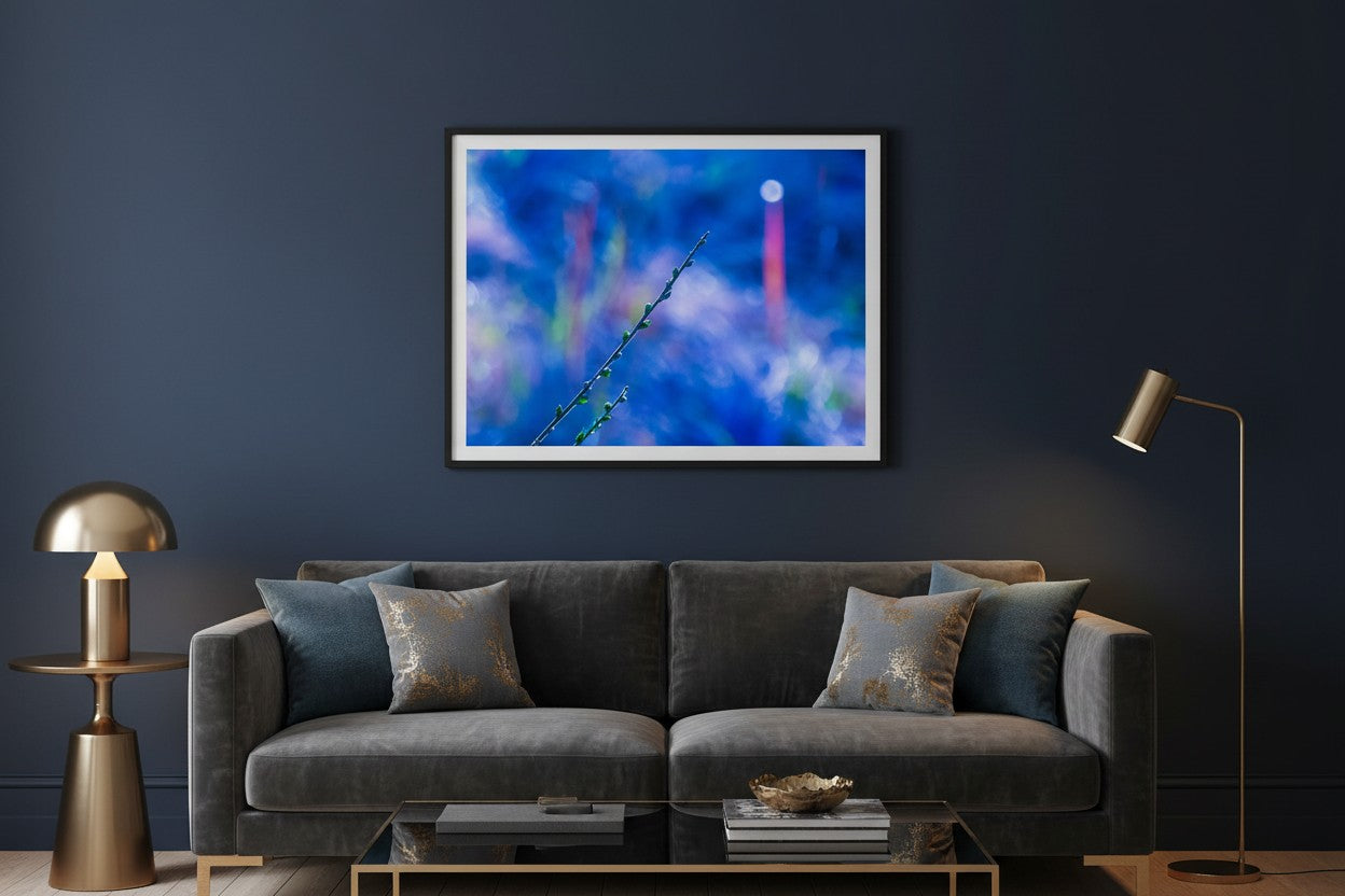 Towards The Light abstract botanical fine art print displayed on a navy feature wall in a sophisticated contemporary living room — unframed wall art